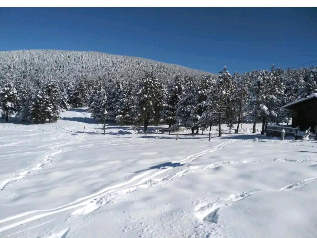 Apartamento En El Pirineo Catalan Sant Jordi de Cercs ภายนอก รูปภาพ